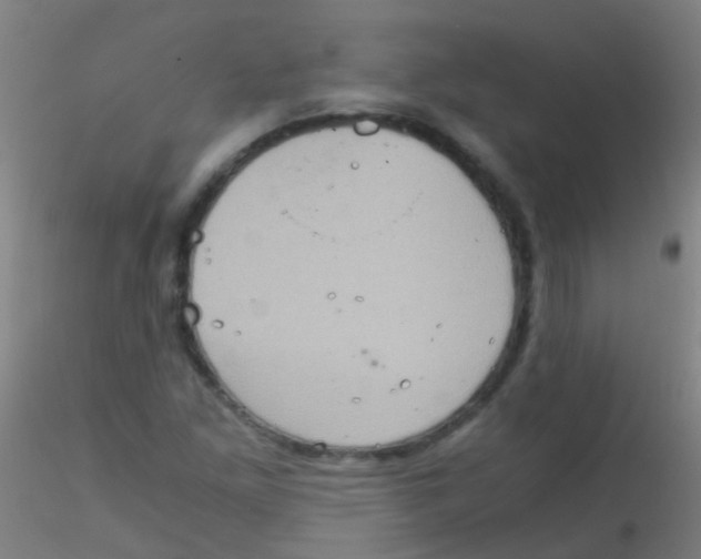 X0000115191261200911251411