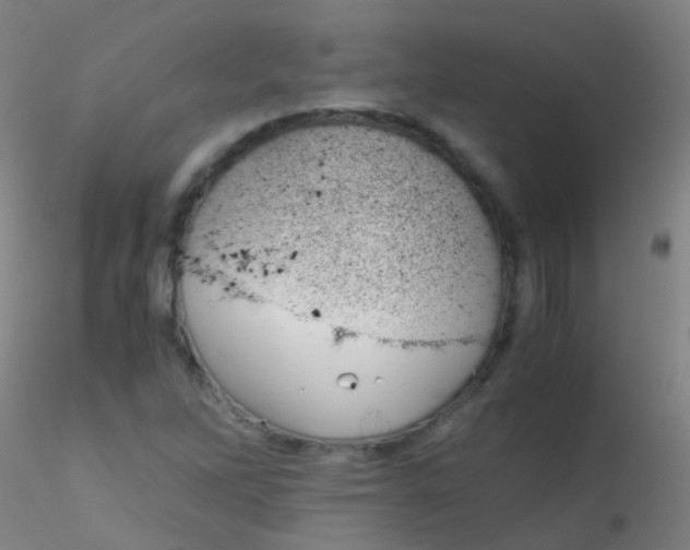 X0000115191262200911251411