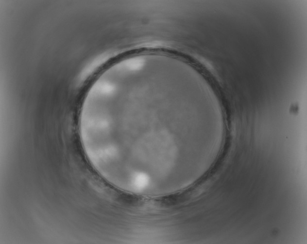 X0000115191263200911251411