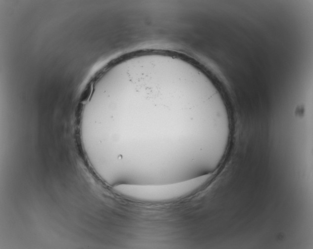 X0000115191264200911251411