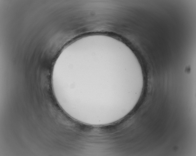 X0000115191265200911251411