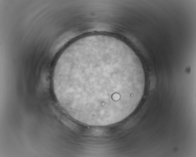 X0000115191266200911251411