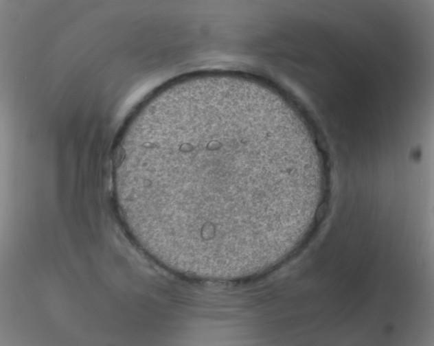 X0000115191267200911251411