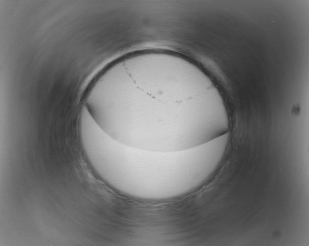 X0000115191268200911251411