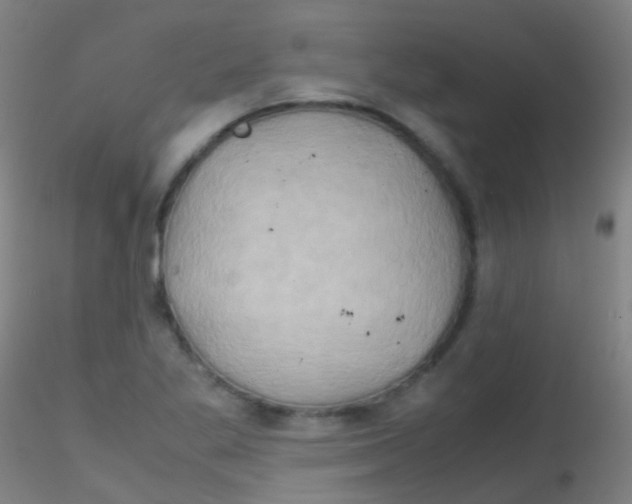 X0000115191269200911251411