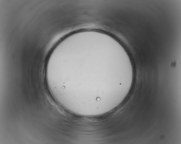 X0000115191270200911251411