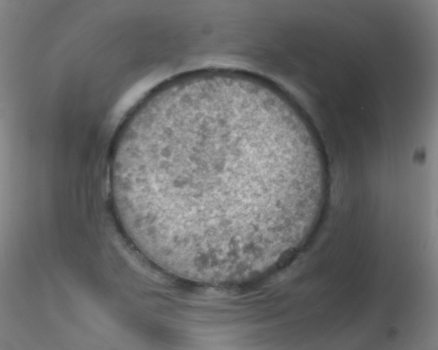 X0000115191271200911251411