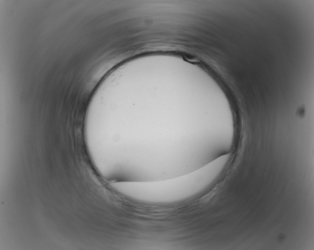 X0000115191273200911251411