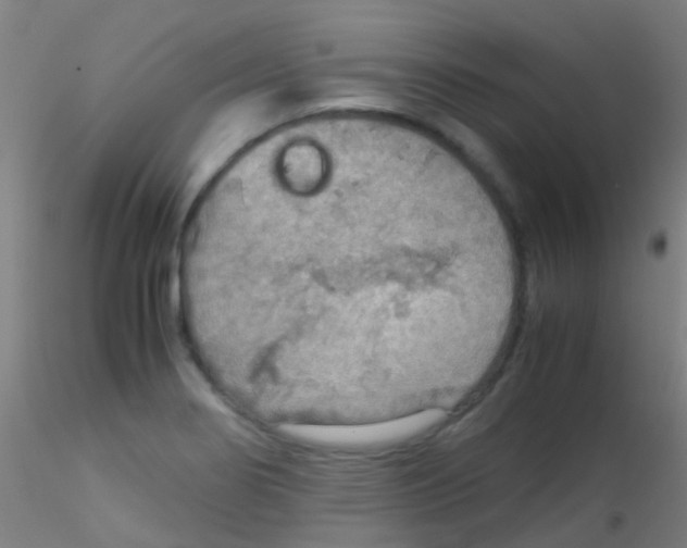 X0000115191274200911251411