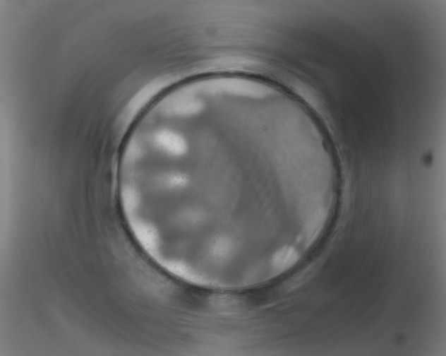 X0000115191275200911251411