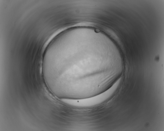 X0000115191276200911251411