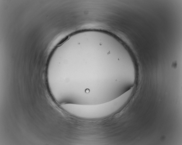 X0000115191277200911251411