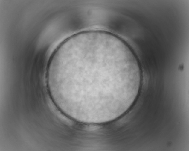 X0000115191278200911251411