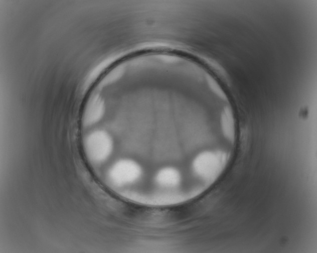 X0000115191279200911251411