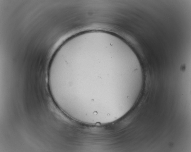 X0000115191280200911251411