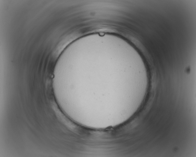 X0000115191281200911251411