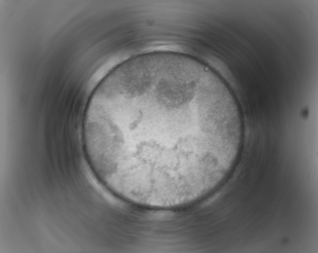 X0000115191282200911251411