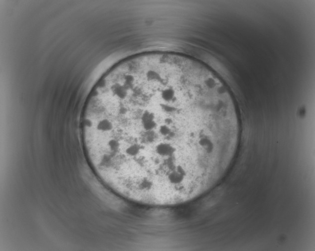 X0000115191283200911251411