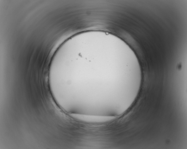 X0000115191284200911251411