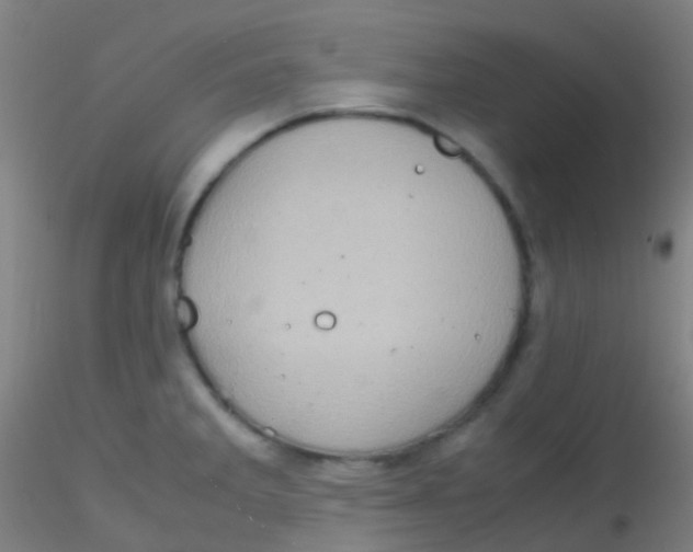 X0000115191285200911251411