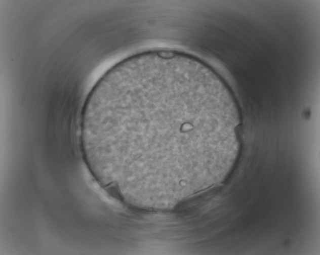 X0000115191287200911251411