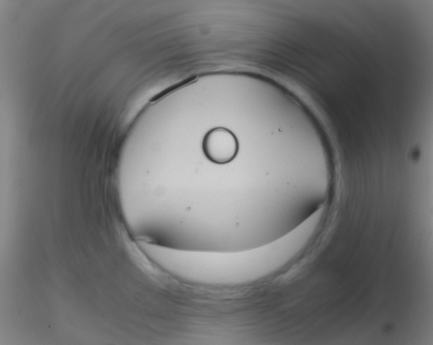 X0000115191289200911251411