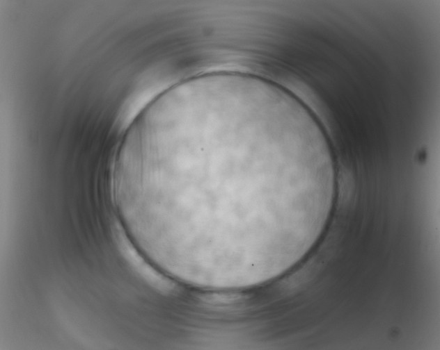 X0000115191290200911251411