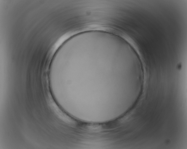 X0000115191291200911251411