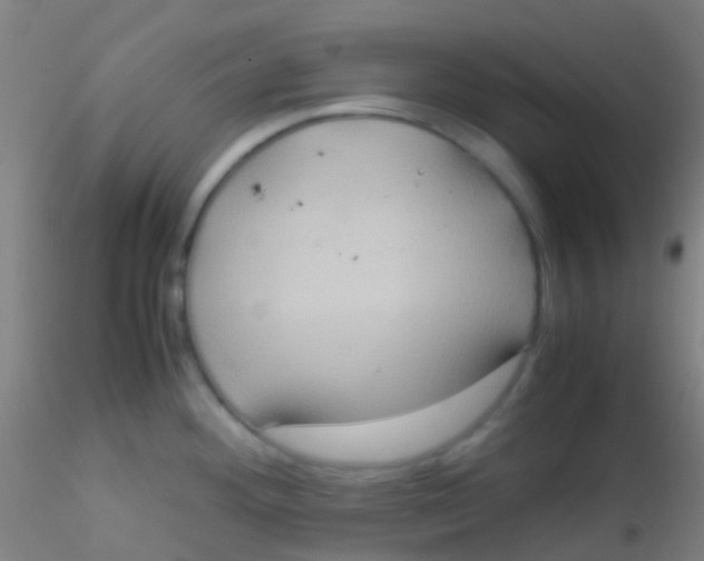 X0000115191292200911251411