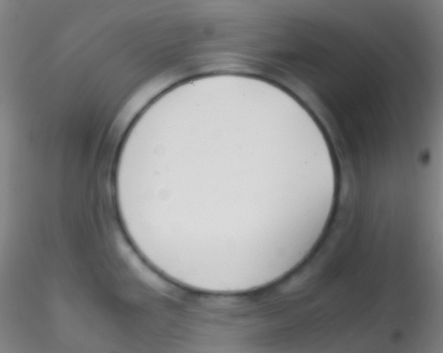 X0000115191293200911251411