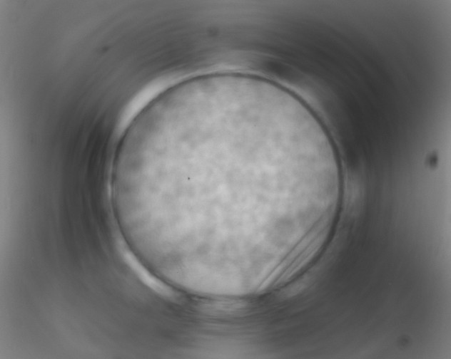 X0000115191294200911251411