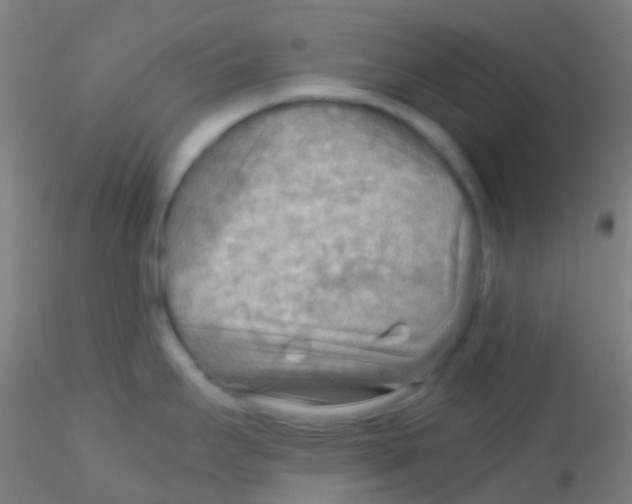 X0000115191295200911251411