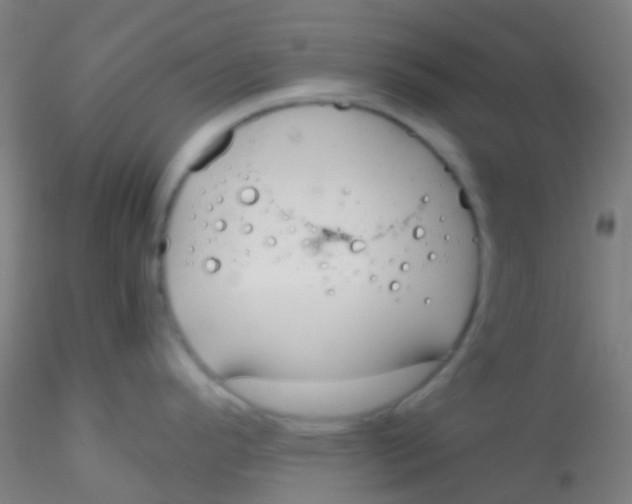 X0000115191296200911251411