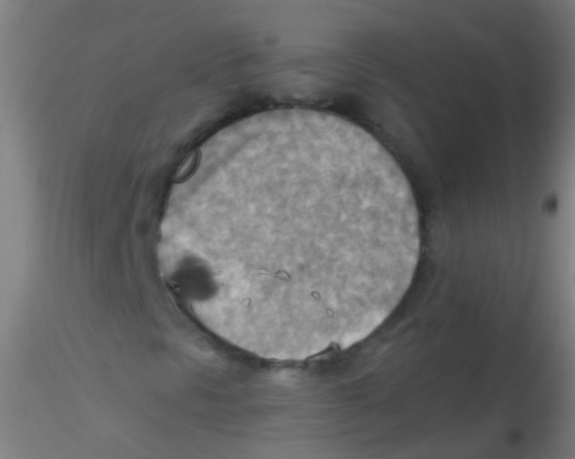 X0000115191297200911251410