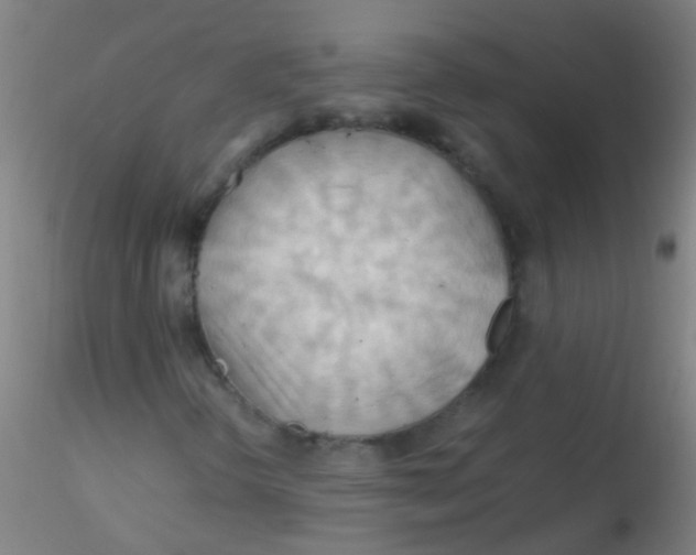 X0000115191298200911251410