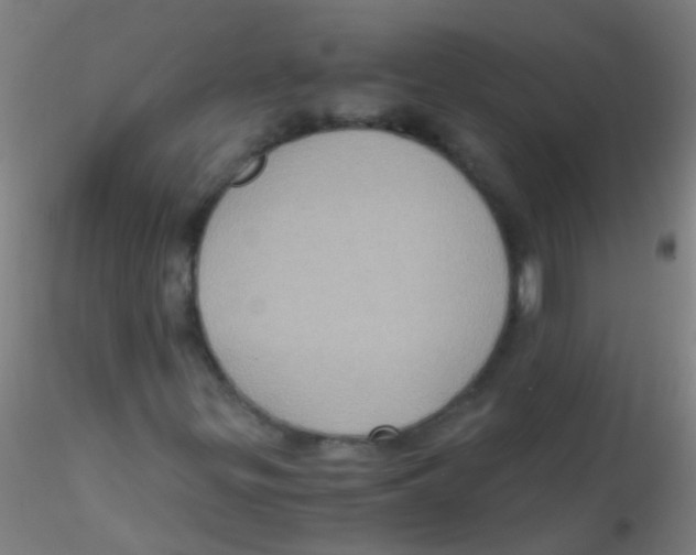 X0000115191299200911251410