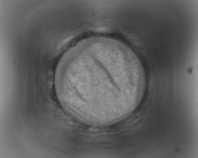 X0000115191301200911251410