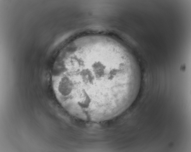 X0000115191302200911251410