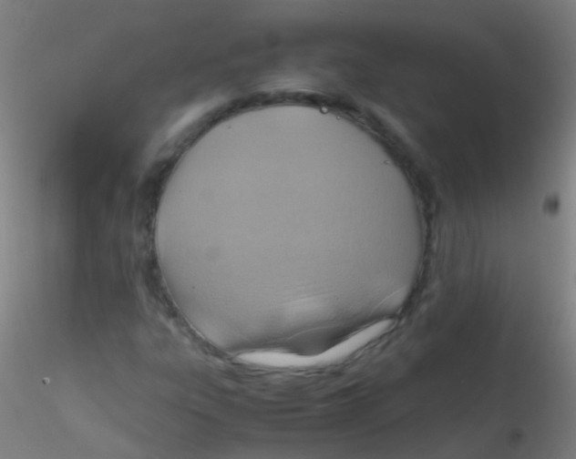 X0000115191303200911251410