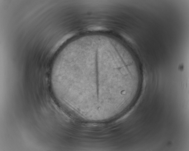 X0000115191305200911251410