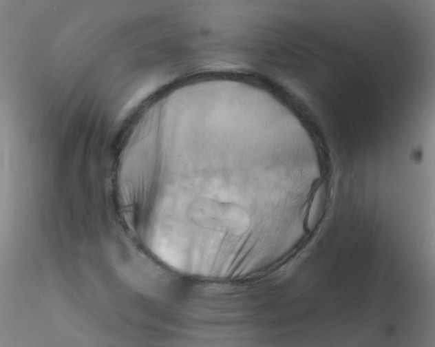 X0000115191306200911251410