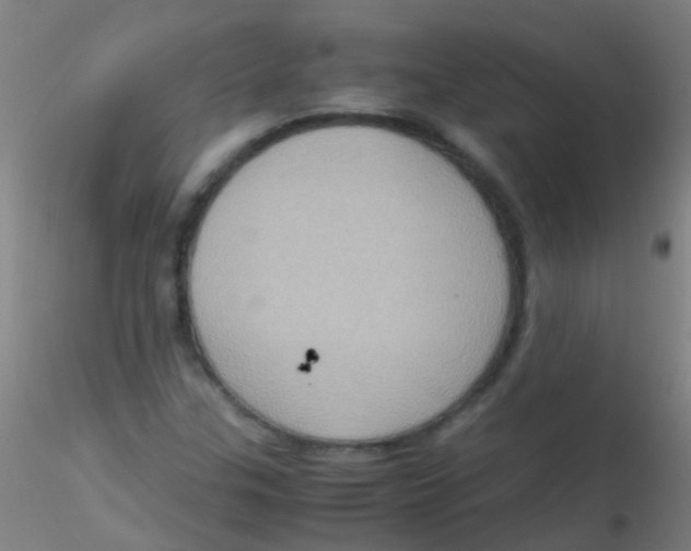 X0000115191307200911251410