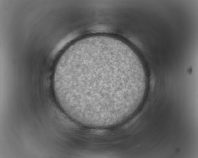 X0000115191309200911251410