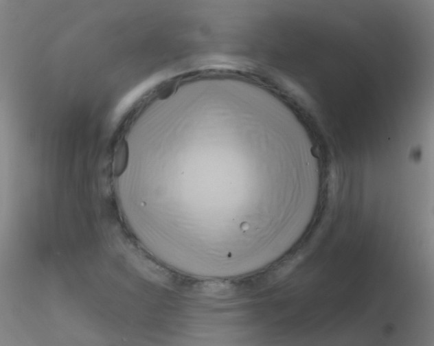 X0000115191310200911251410