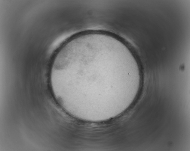 X0000115191311200911251410