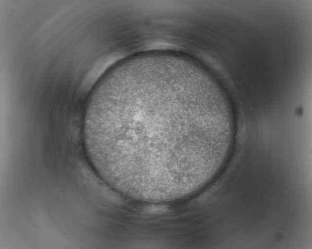 X0000115191313200911251410