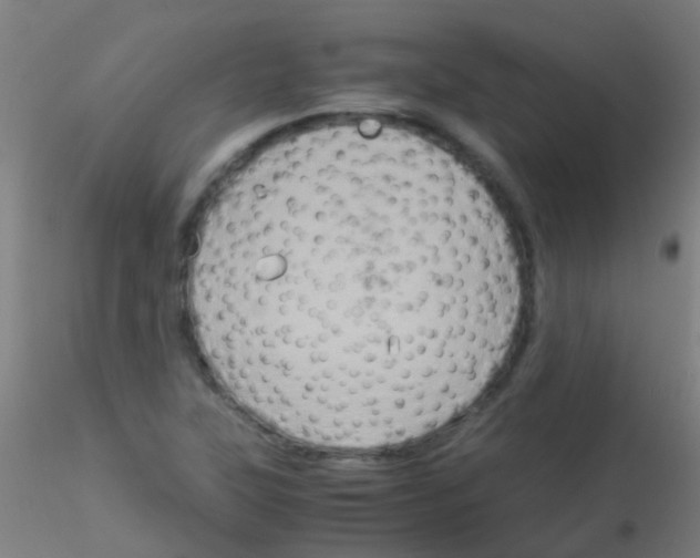 X0000115191315200911251411