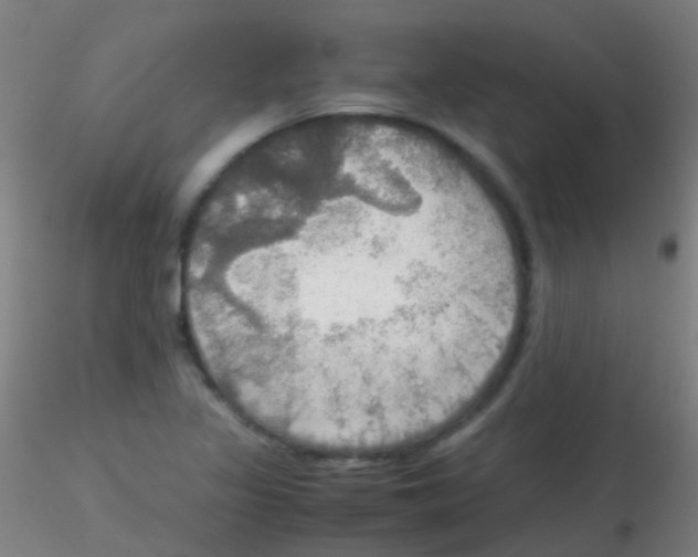 X0000115191317200911251411