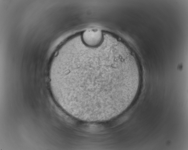 X0000115191318200911251411