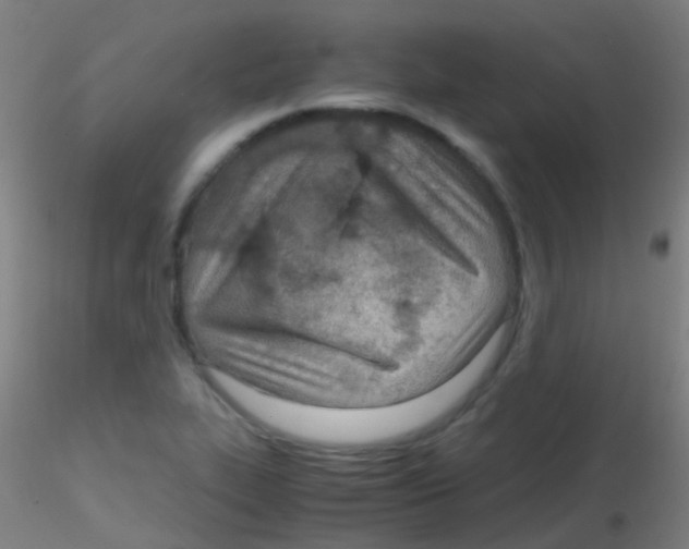 X0000115191319200911251411